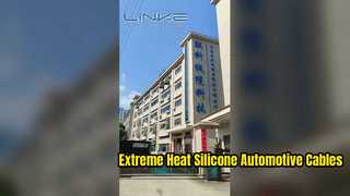 Dongguan Lianke Cable Technology Co., Ltd. 공장 소개