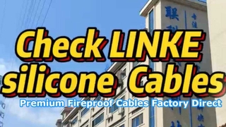 Dongguan Lianke Cable Tech: 전문 실리콘 케이블 제품 소개