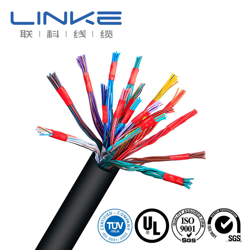 커스터마이징 16 AWG 1 쌍 고체 PVC 엽록소 보호 및 PVC 재킷 EV 충전 케이블